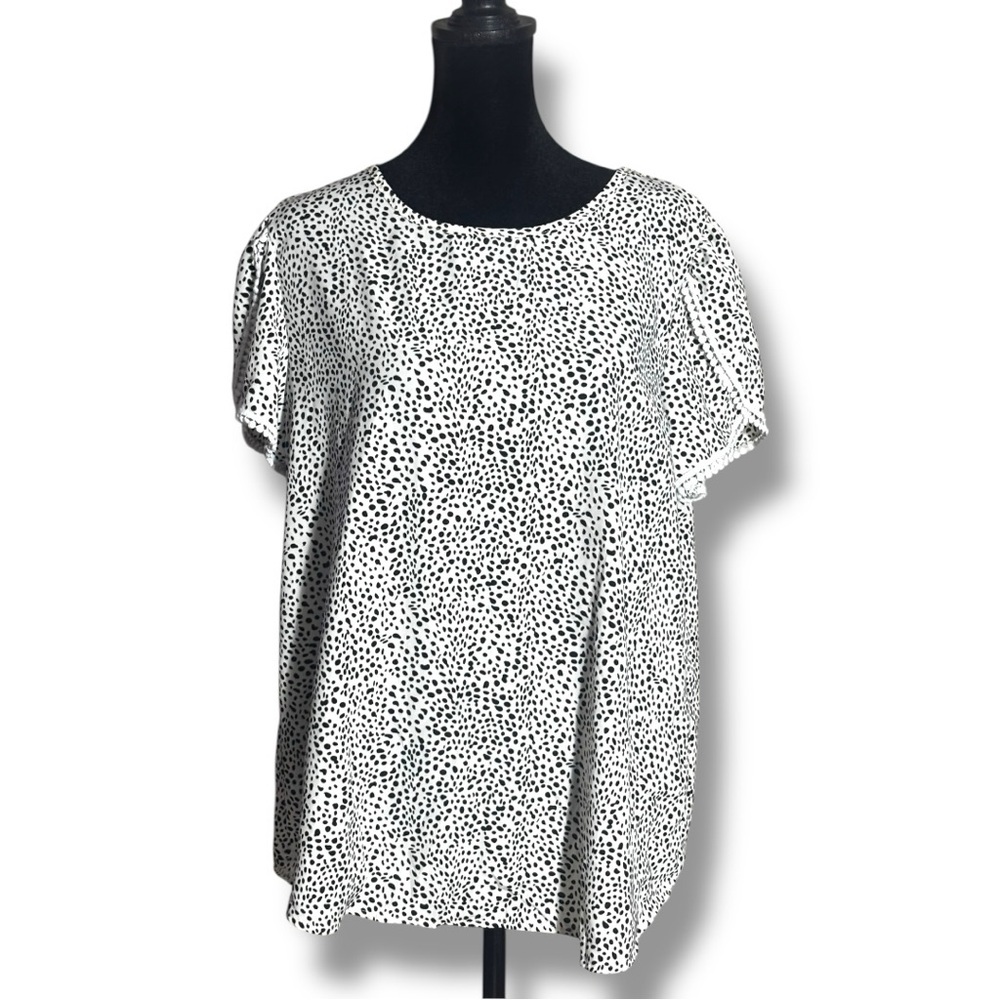 Fashion Women Large Black & White Speckle Print Short Sleeve White Trim Blouse